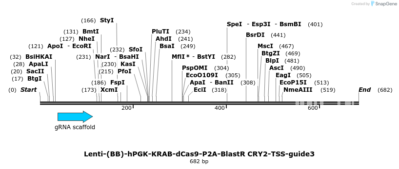 240038_map
