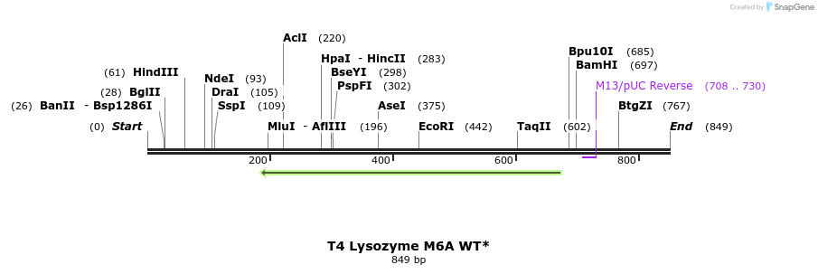 24004_map