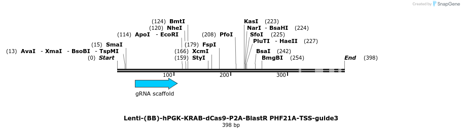 240046_map