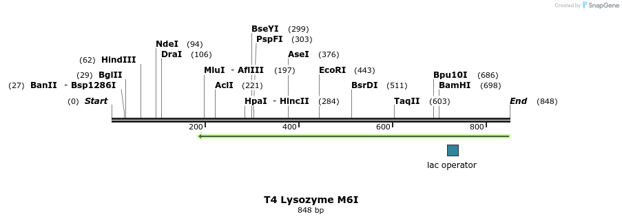 24005_map
