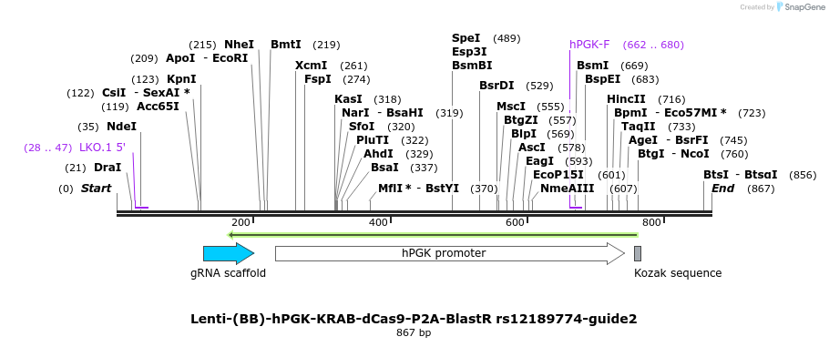240052_map