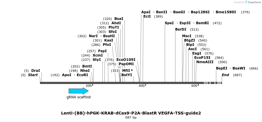 240060_map
