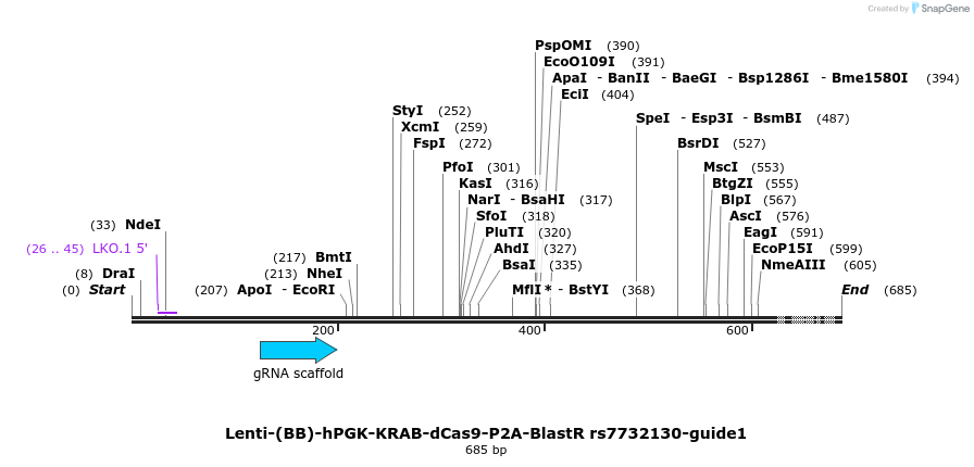 240066_map