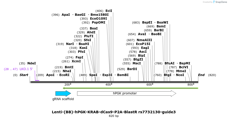 240070_map