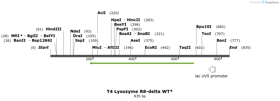 24009_map