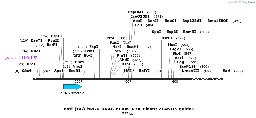 240090_map