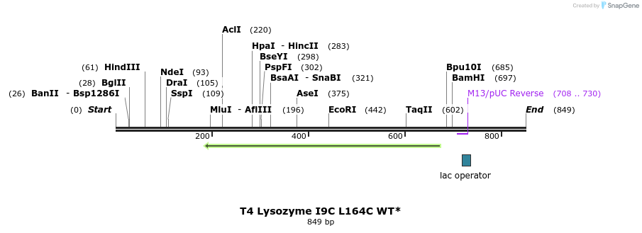24010_map