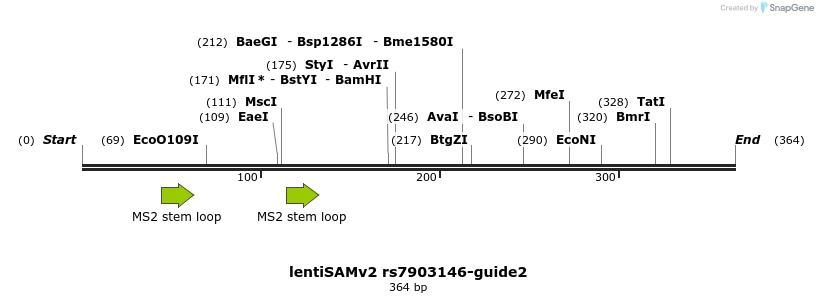 240100_map