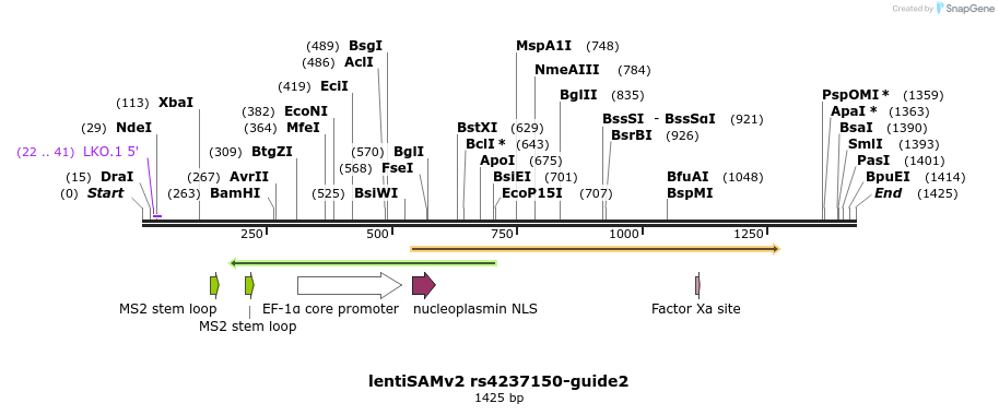 240102_map
