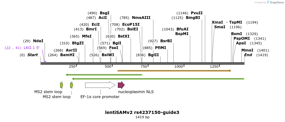 240104_map