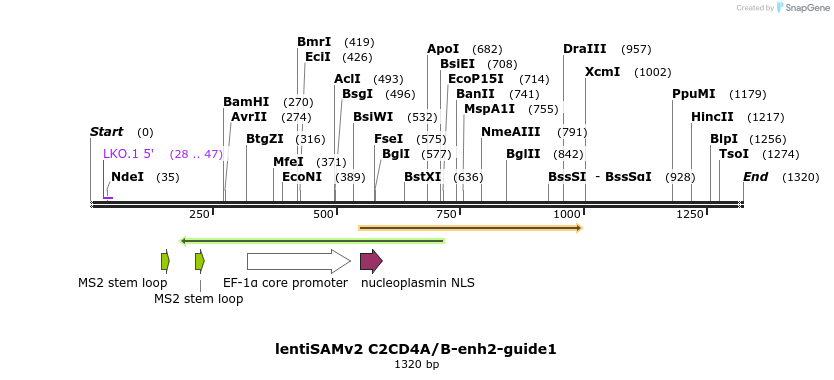 240116_map