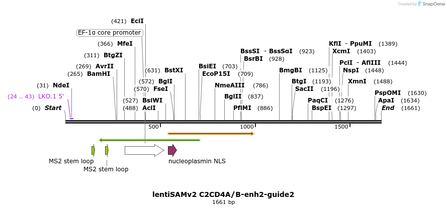 240118_map