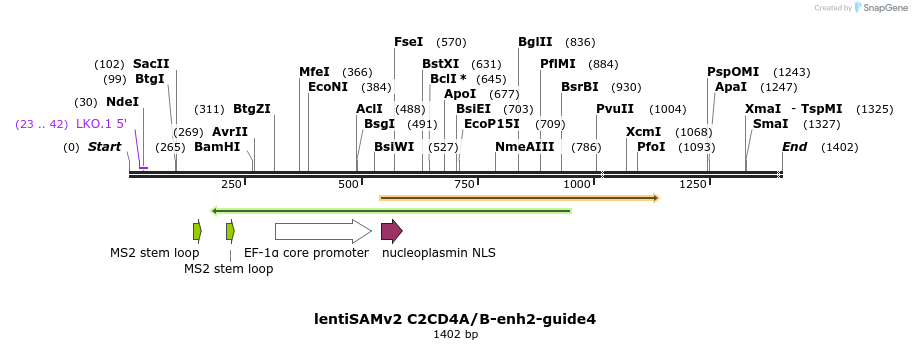 240122_map