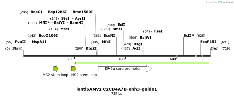 240124_map