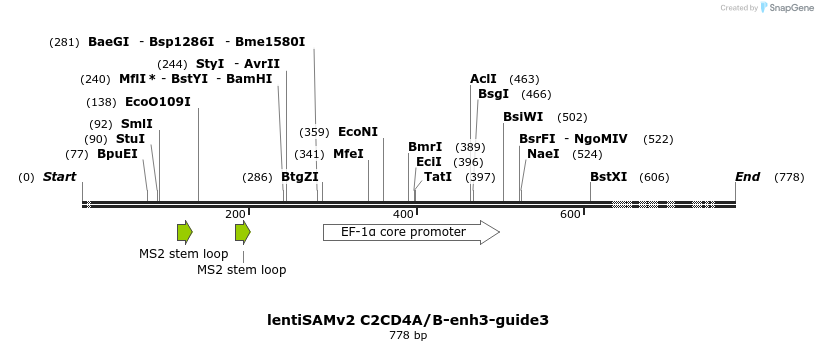 240128_map
