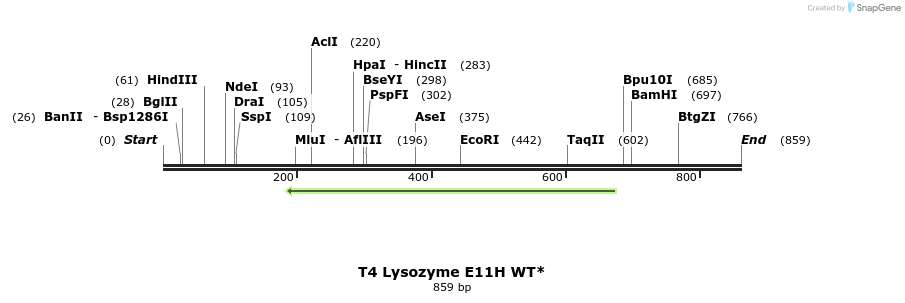 24013_map