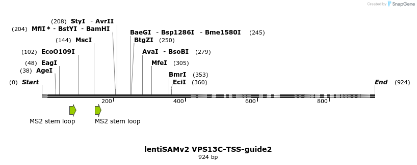 240132_map