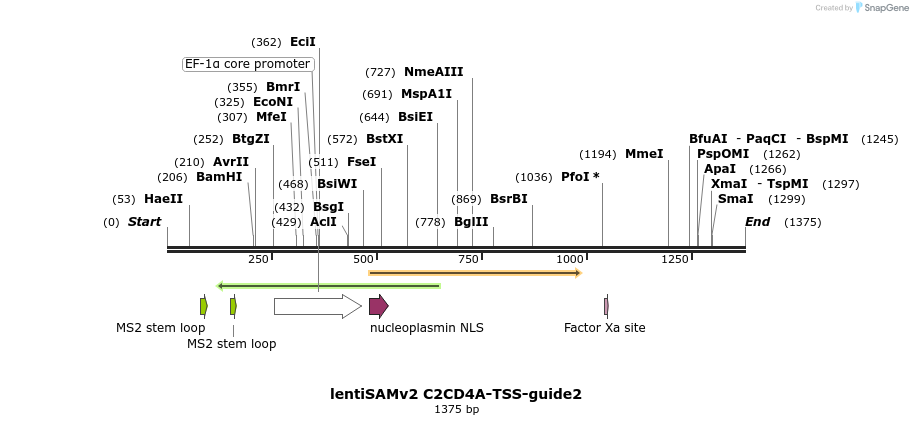 240140_map