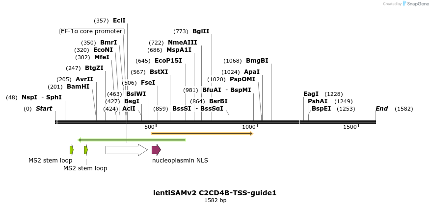 240146_map