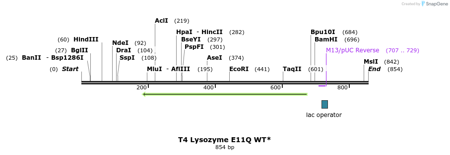 24015_map
