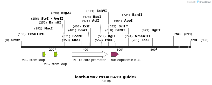240152_map
