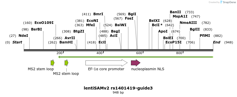 240154_map