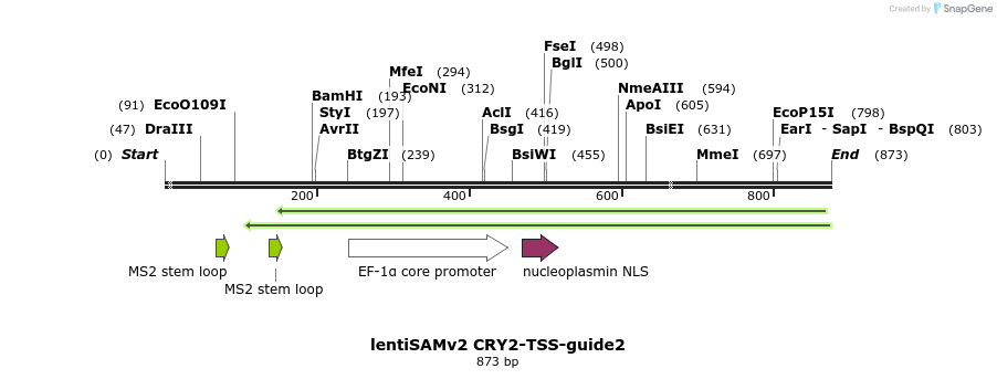 240158_map