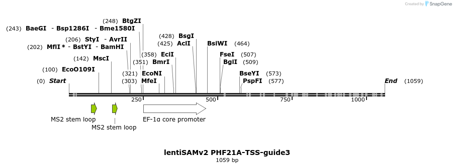 240166_map