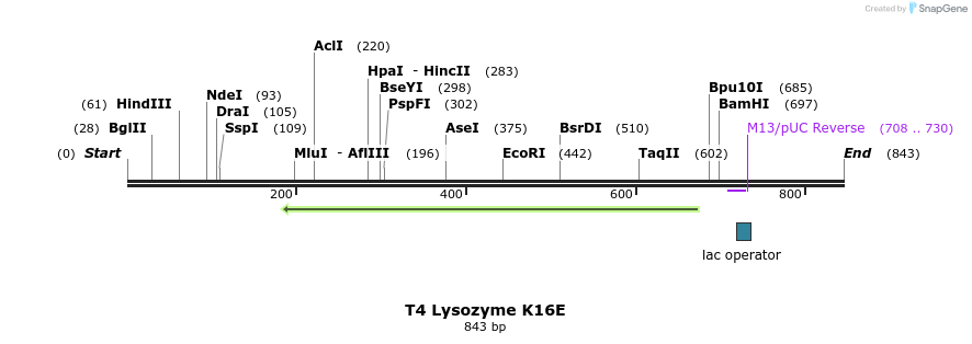24017_map