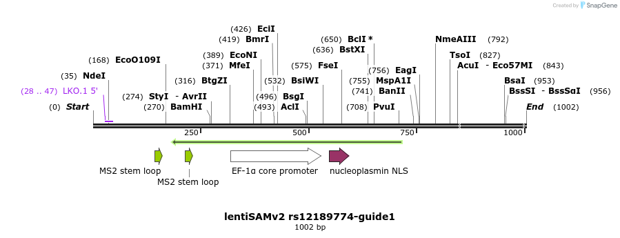 240170_map