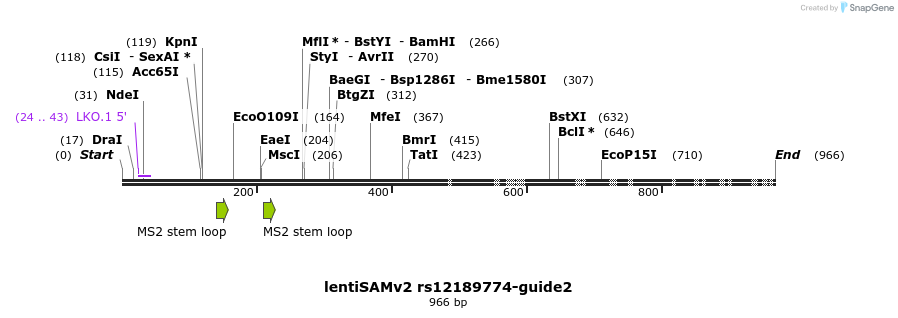 240172_map