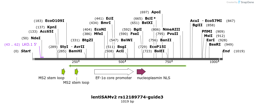240174_map