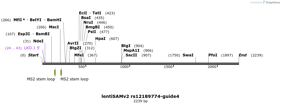 240176_map