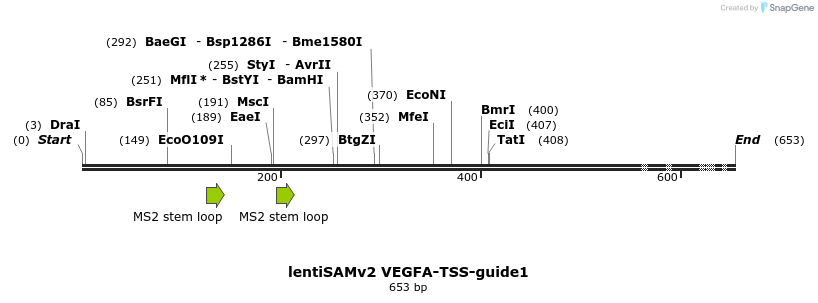 240178_map