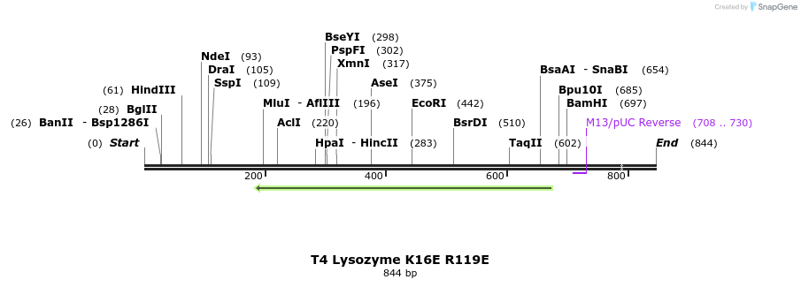 24018_map