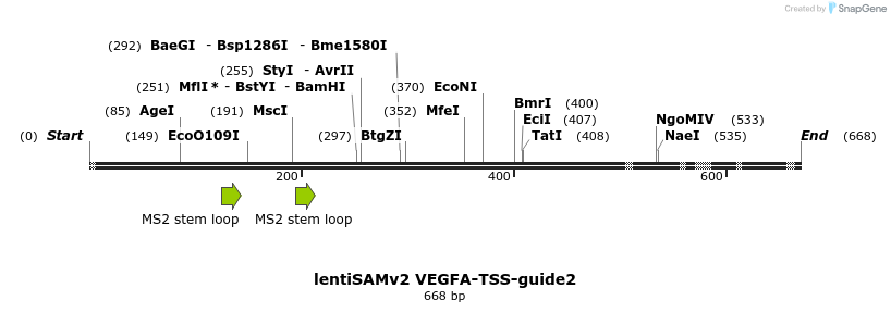 240180_map