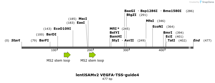 240182_map