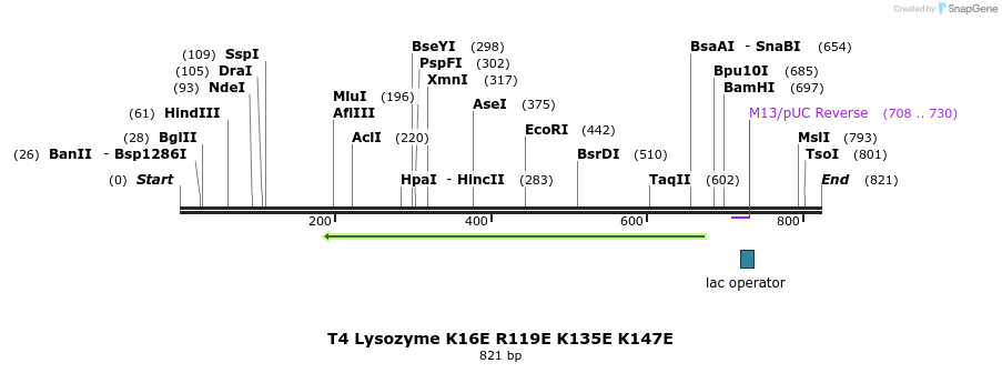 24019_map