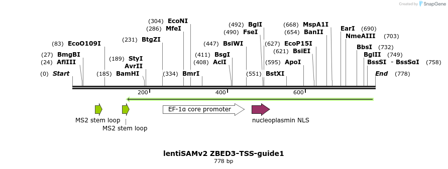 240190_map