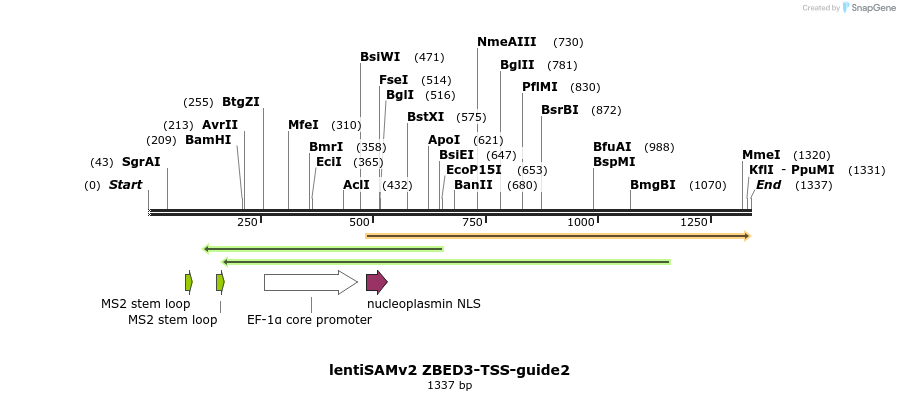 240192_map