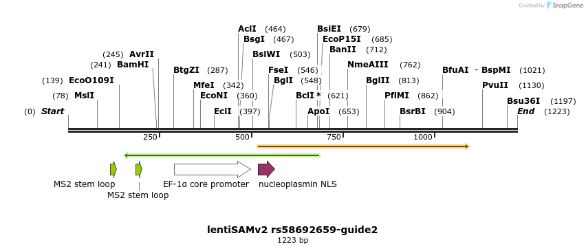 240198_map