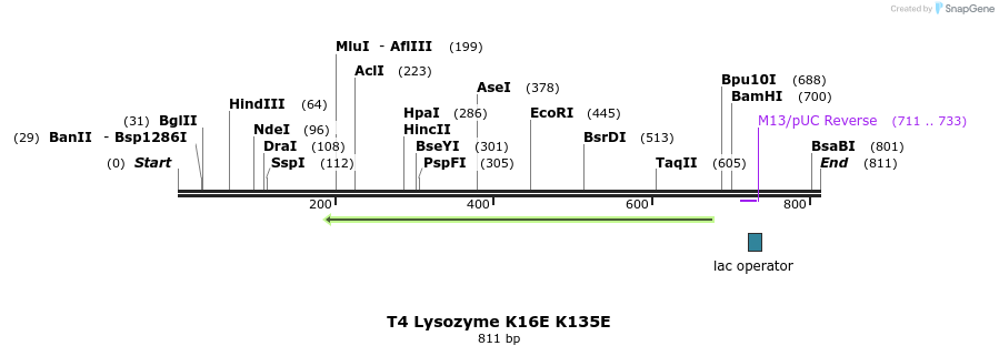 24020_map