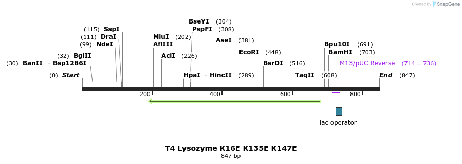 24021_map