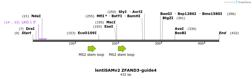 240210_map
