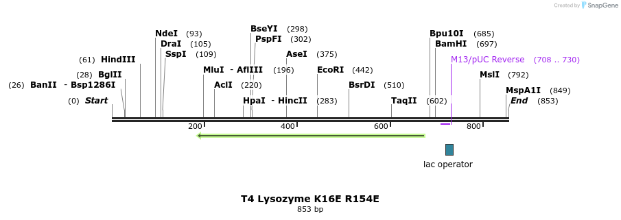 24022_map