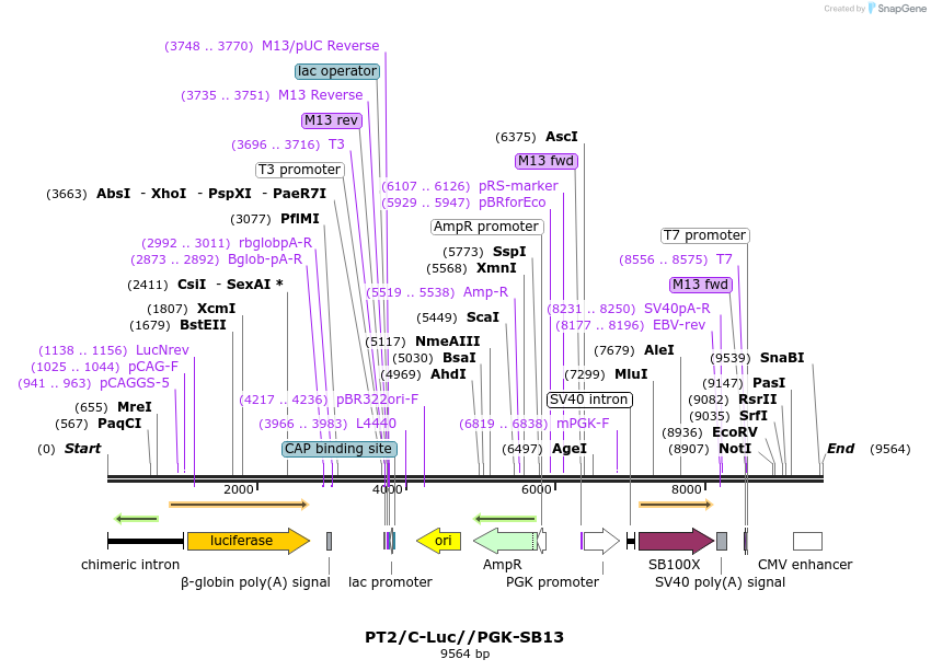 240220_map
