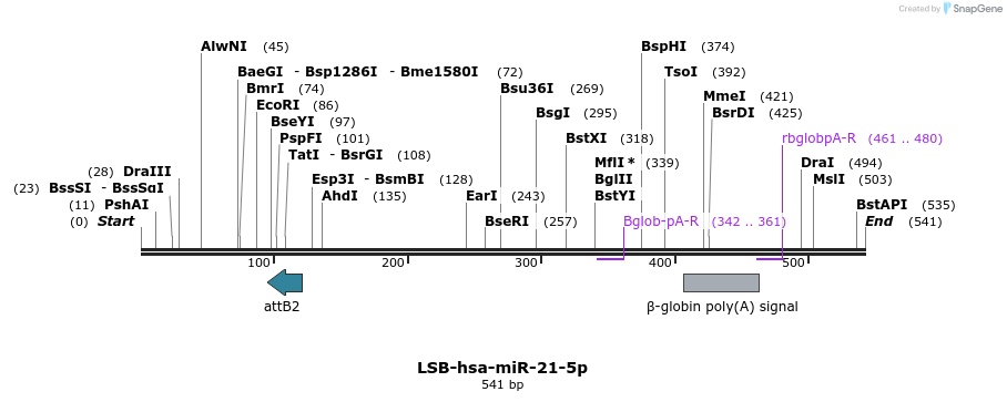 240226_map