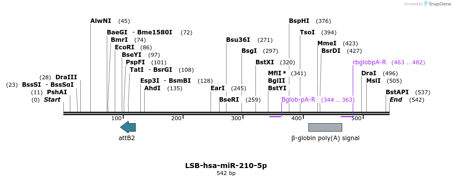 240228_map