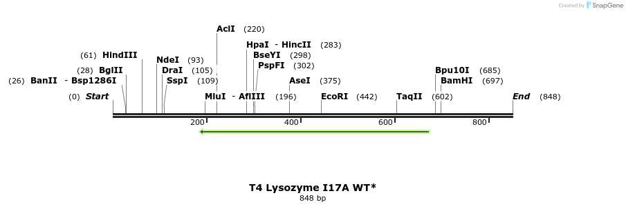24023_map