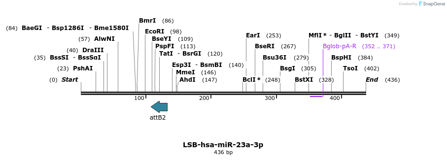 240230_map